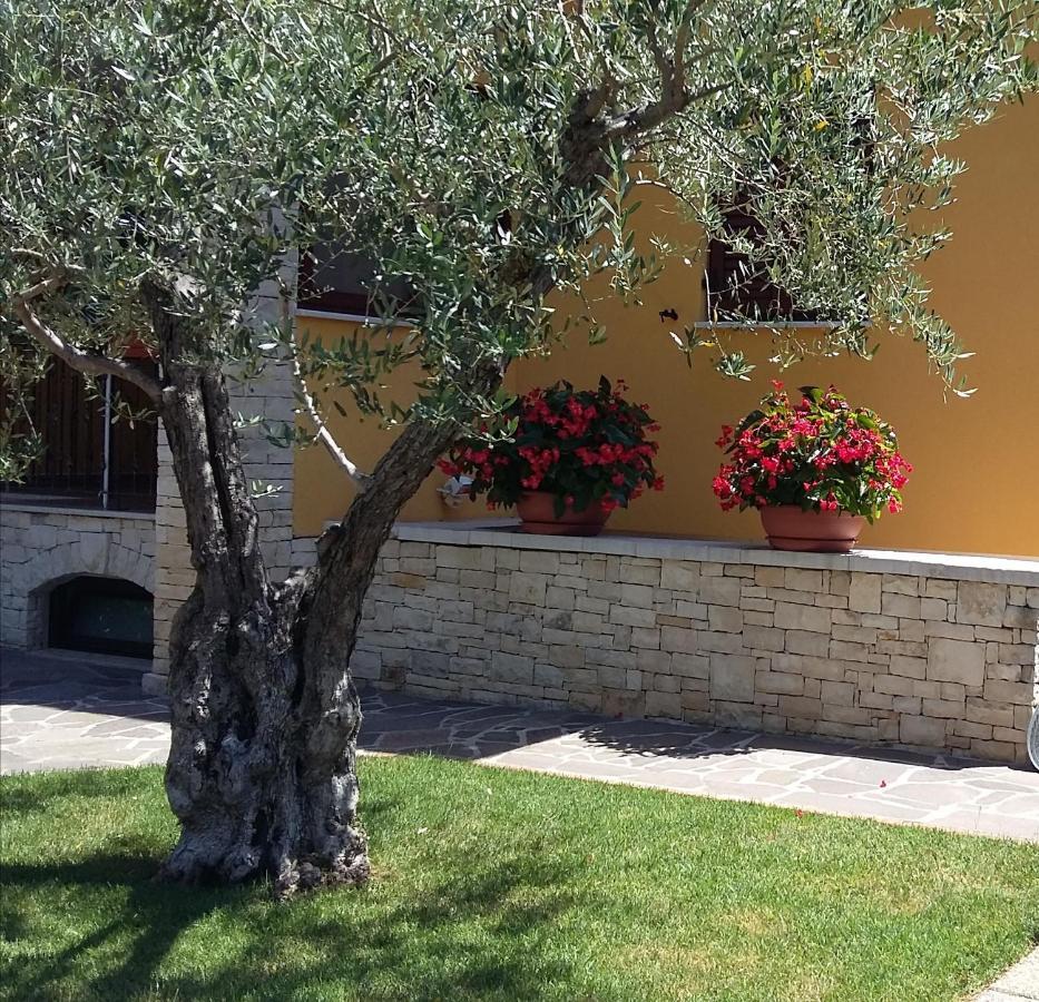 Studio Apartments Pinia-Marina ポレッチ エクステリア 写真